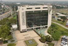 CONMEBOL Replaces Betting Ads